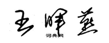 朱锡荣王晖燕草书个性签名怎么写