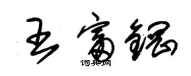 朱锡荣王富钢草书个性签名怎么写