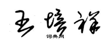 朱锡荣王培祥草书个性签名怎么写