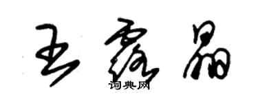 朱锡荣王露晶草书个性签名怎么写