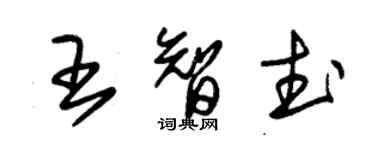 朱锡荣王智武草书个性签名怎么写