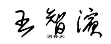 朱锡荣王智滨草书个性签名怎么写