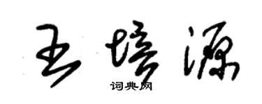 朱锡荣王培源草书个性签名怎么写