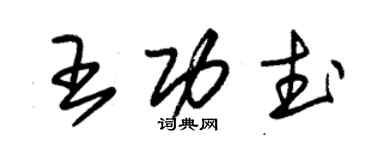 朱锡荣王功武草书个性签名怎么写