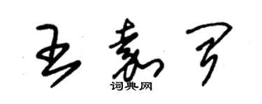 朱锡荣王嘉闻草书个性签名怎么写