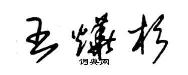 朱锡荣王烨杉草书个性签名怎么写