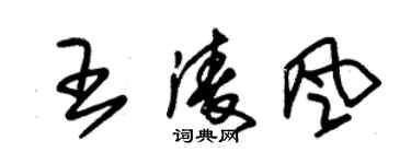 朱锡荣王凌风草书个性签名怎么写