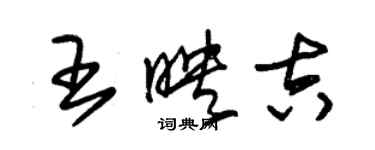 朱锡荣王映吉草书个性签名怎么写