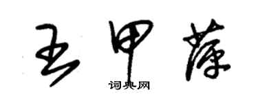 朱锡荣王甲萍草书个性签名怎么写