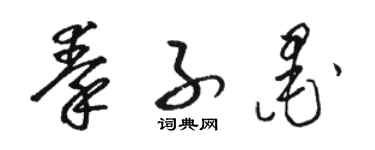 骆恒光秦子墨草书个性签名怎么写