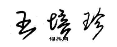 朱锡荣王培珍草书个性签名怎么写