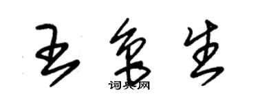 朱锡荣王鲁生草书个性签名怎么写