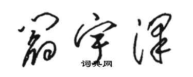 骆恒光阎宇泽草书个性签名怎么写