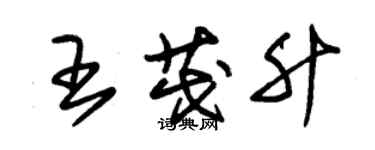 朱锡荣王茂升草书个性签名怎么写