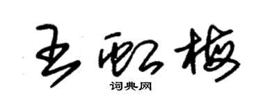 朱锡荣王虹梅草书个性签名怎么写