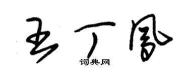 朱锡荣王丁凤草书个性签名怎么写