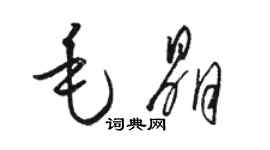 骆恒光毛晶草书个性签名怎么写