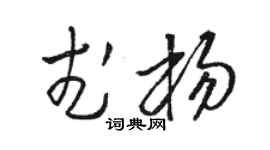 骆恒光武杨草书个性签名怎么写