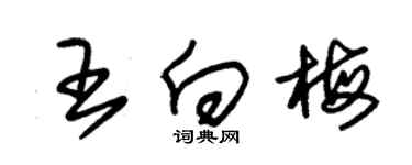 朱锡荣王向梅草书个性签名怎么写