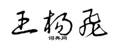 曾庆福王杨飞草书个性签名怎么写