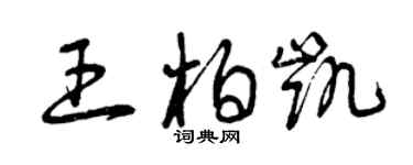 曾庆福王柏凯草书个性签名怎么写
