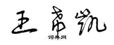 曾庆福王希凯草书个性签名怎么写