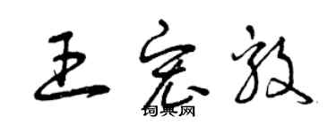 曾庆福王宏毅草书个性签名怎么写
