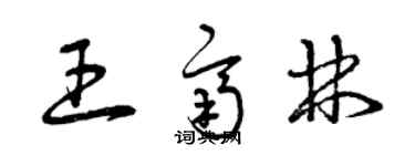 曾庆福王齐林草书个性签名怎么写