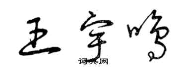 曾庆福王宇鸣草书个性签名怎么写