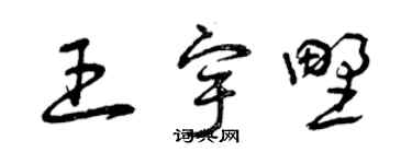 曾庆福王宇野草书个性签名怎么写