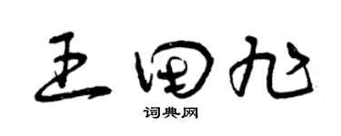 曾庆福王田旭草书个性签名怎么写