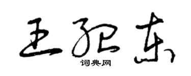 曾庆福王纪东草书个性签名怎么写
