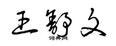 曾庆福王舒文草书个性签名怎么写