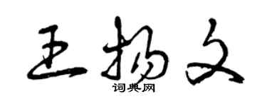 曾庆福王扬文草书个性签名怎么写