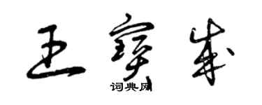 曾庆福王宝成草书个性签名怎么写