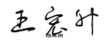 曾庆福王宏升草书个性签名怎么写