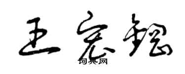 曾庆福王宏钢草书个性签名怎么写