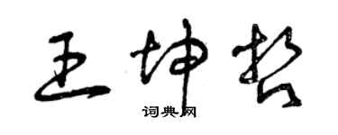 曾庆福王坤哲草书个性签名怎么写