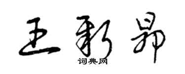 曾庆福王新昂草书个性签名怎么写
