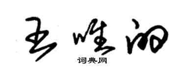 朱锡荣王唯的草书个性签名怎么写