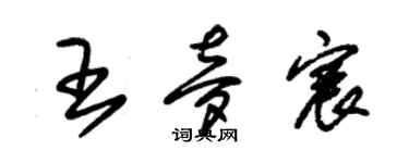 朱锡荣王梦宸草书个性签名怎么写