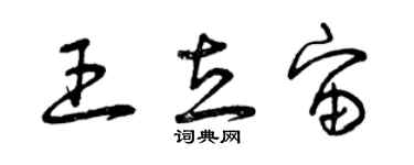 曾庆福王立宙草书个性签名怎么写