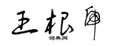 曾庆福王根虎草书个性签名怎么写