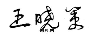 曾庆福王晓策草书个性签名怎么写