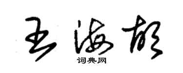 朱锡荣王海胡草书个性签名怎么写
