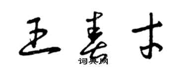 曾庆福王春才草书个性签名怎么写