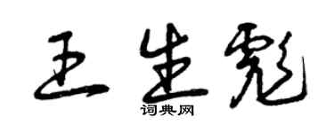 曾庆福王生彪草书个性签名怎么写