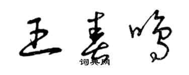 曾庆福王春鸣草书个性签名怎么写