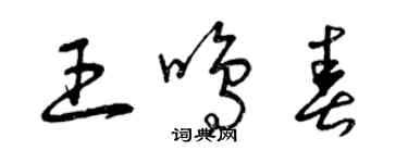 曾庆福王鸣春草书个性签名怎么写