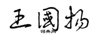 曾庆福王国扬草书个性签名怎么写